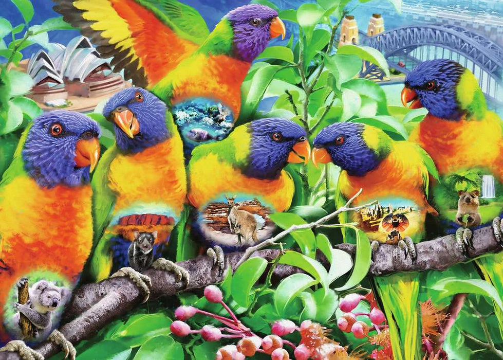Puzzle: Land of the Lorikeet - for just $24.99! 