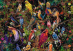 Puzzle: Birds of Art - for just $24.99! 