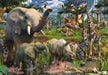 Puzzle: At The Waterhole - for just $169.99! 