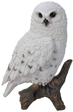 Snow Owl - for just $29.99! 