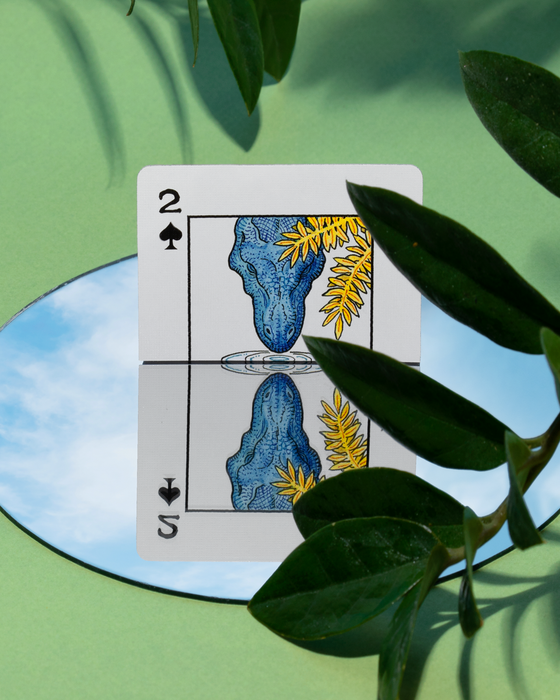 Dinosaur Playing Cards - for just $24.99! 