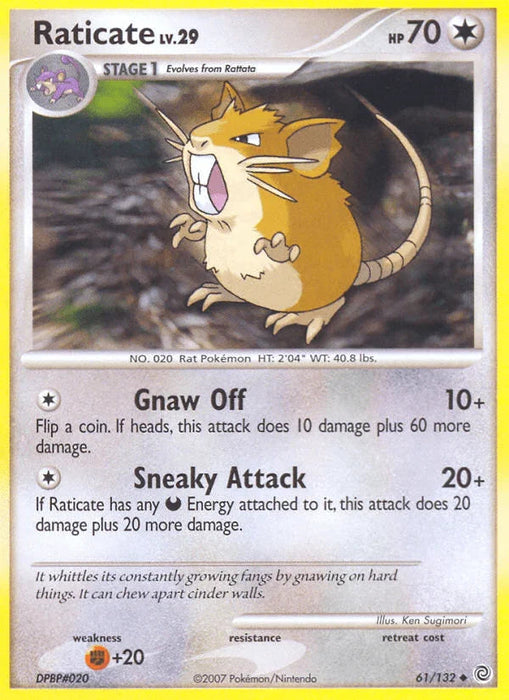 Raticate (61/132) [Diamond & Pearl: Secret Wonders] - for just $0.20! 
