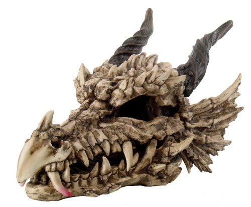 Large Dragon Skull - for just $215! 