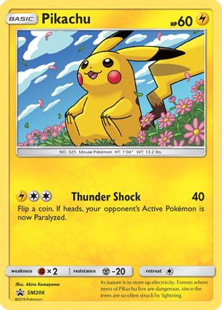Pikachu SM206/248 - SM Promos Holofoil - for just $4.02! 