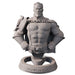The Boys: This is Going to Hurt - Homelander Bust - for just $24.99! 