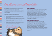 Hamsters and Himbos RPG - for just $11.99! 