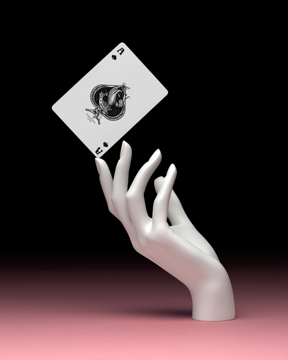 The Lepidopterist Playing Cards - for just $19.99! 