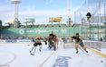 Hampus Lindholm 2023 Fenway Park Winter Classic Boston Bruins Photo - for just $9.99! 