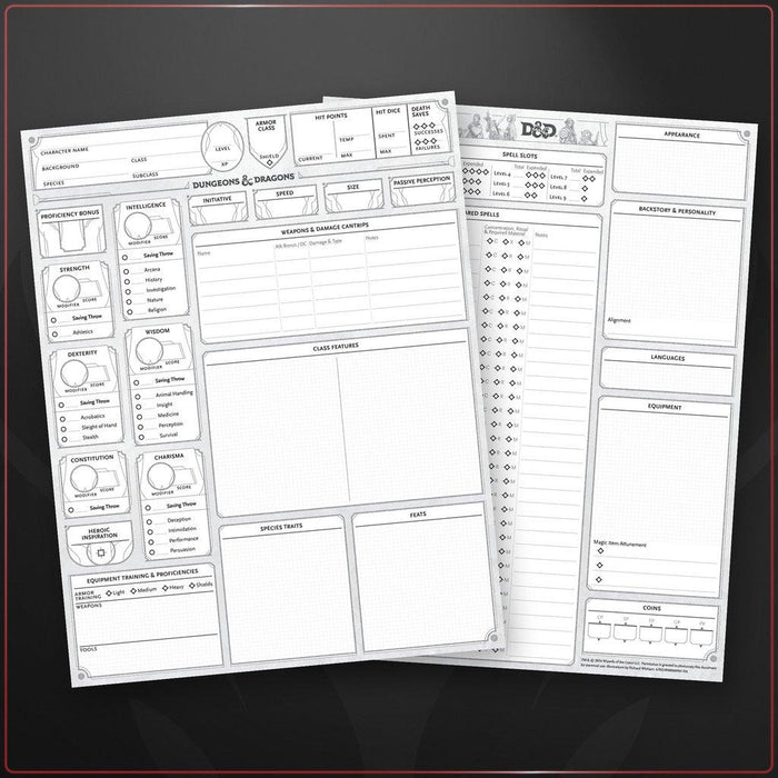 D&D: 2024 Character Sheets - for just $14.99! 