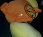 Pokemon Center Flareon Sleeper Plush Eeveelutions Plush Rare Authentic - for just $86.99! 