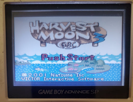 Harvest Moon 3 GBC Gameboy Color Video Game Boy - for just $15! 