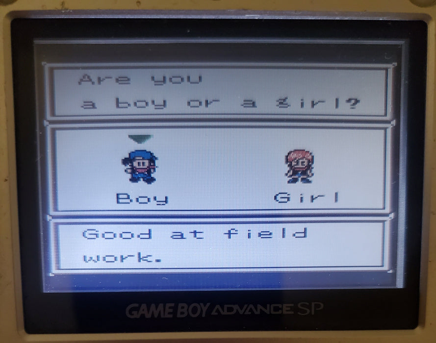 Harvest Moon 3 GBC Gameboy Color Video Game Boy - for just $15! 