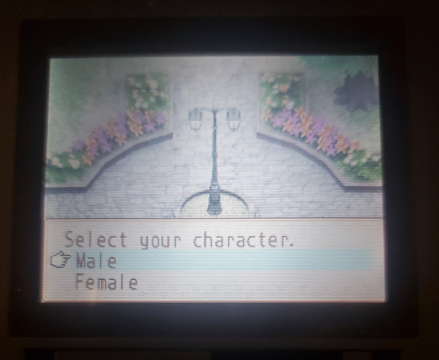 Harvest Moon DS Grand Bazaar Video Game Nintendo DS 2010 - for just $19.99! 