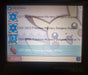 Pokemon 23 in 1 Nintendo DS Huge Collection Great Value Lot - for just $34.99! 