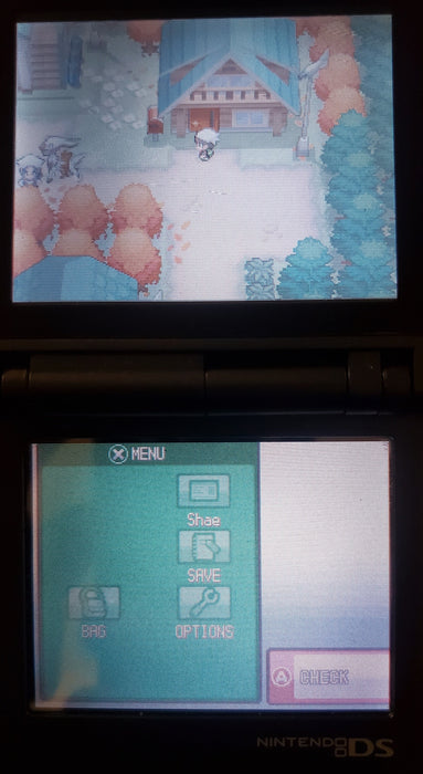 Pokemon GarbageGold NDS Nintendo DS Custom ROM Hack Video Game - for just $26.99! 