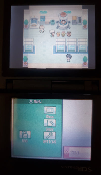 Pokemon GarbageGold NDS Nintendo DS Custom ROM Hack Video Game - for just $26.99! 