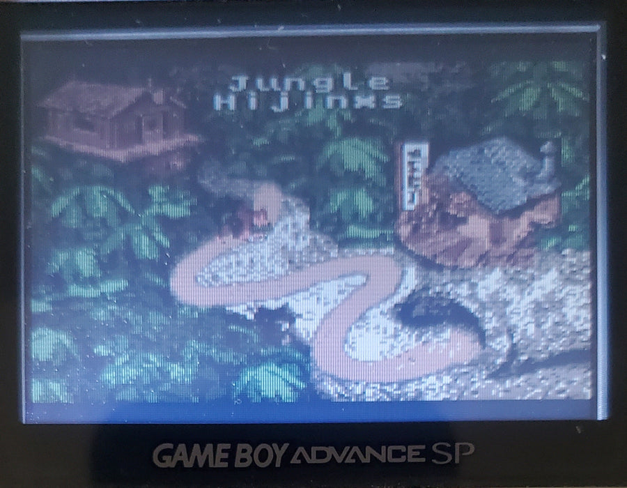 Donkey Kong Country Gameboy Color GBC Video Game Catridge 2000 - for just $15! 