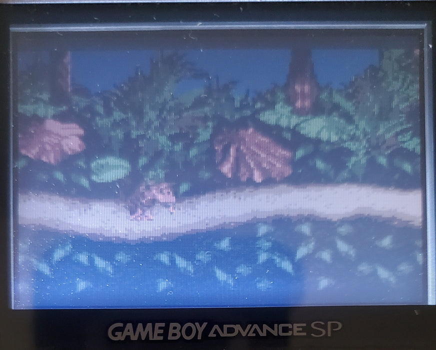Donkey Kong Country Gameboy Color GBC Video Game Catridge 2000 - for just $15! 