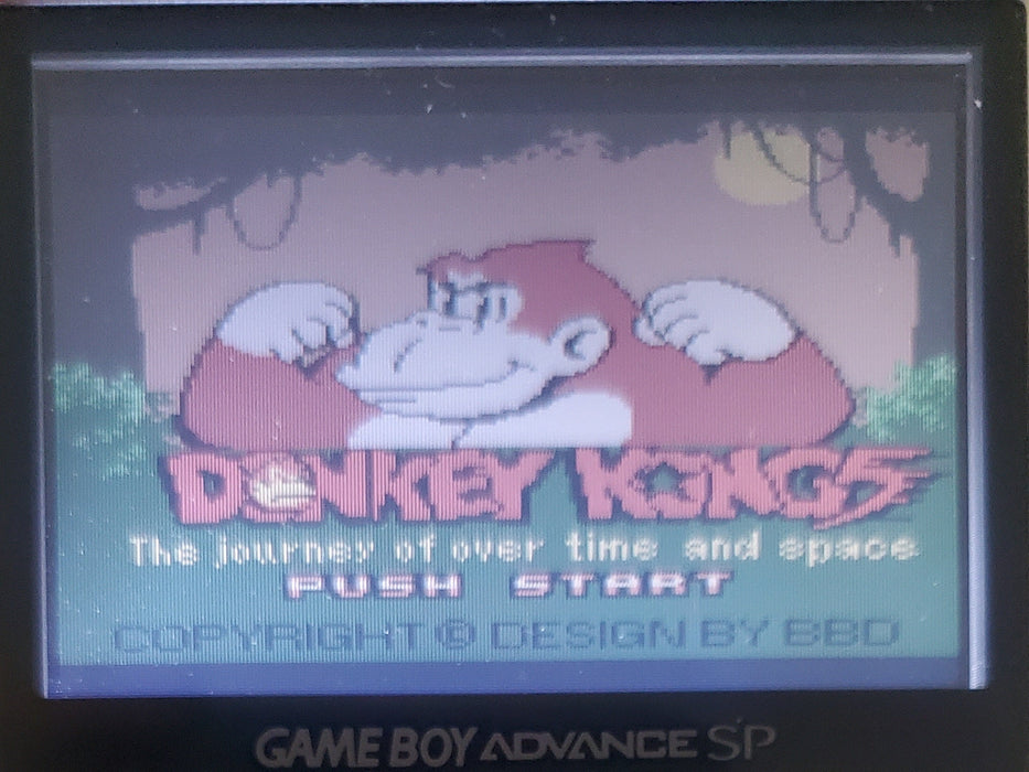 Donkey Kong 5 A Journey Over Time and Space Gameboy Color GBC Video Game Catridge - for just $14! 
