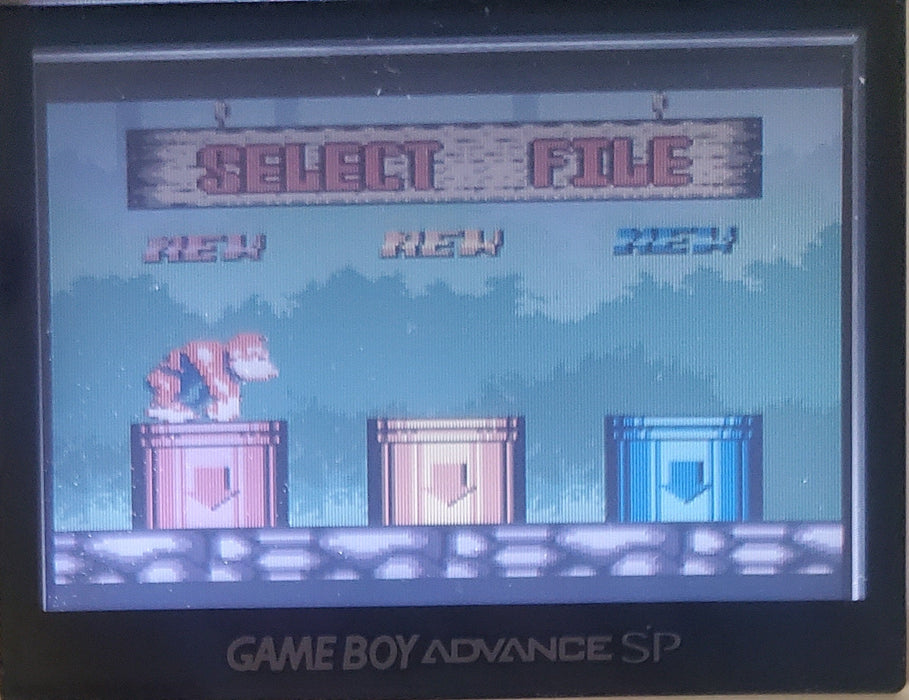 Donkey Kong 5 A Journey Over Time and Space Gameboy Color GBC Video Game Catridge - for just $14! 