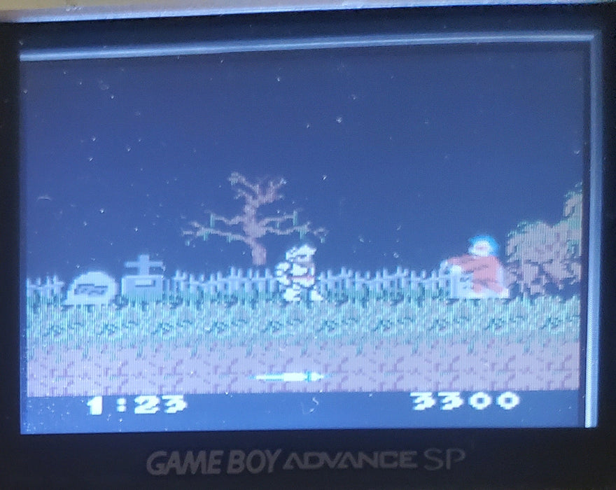 Ghosts N Goblins GBC Video Game Catridge Gameboy Color 2000 - for just $15! 