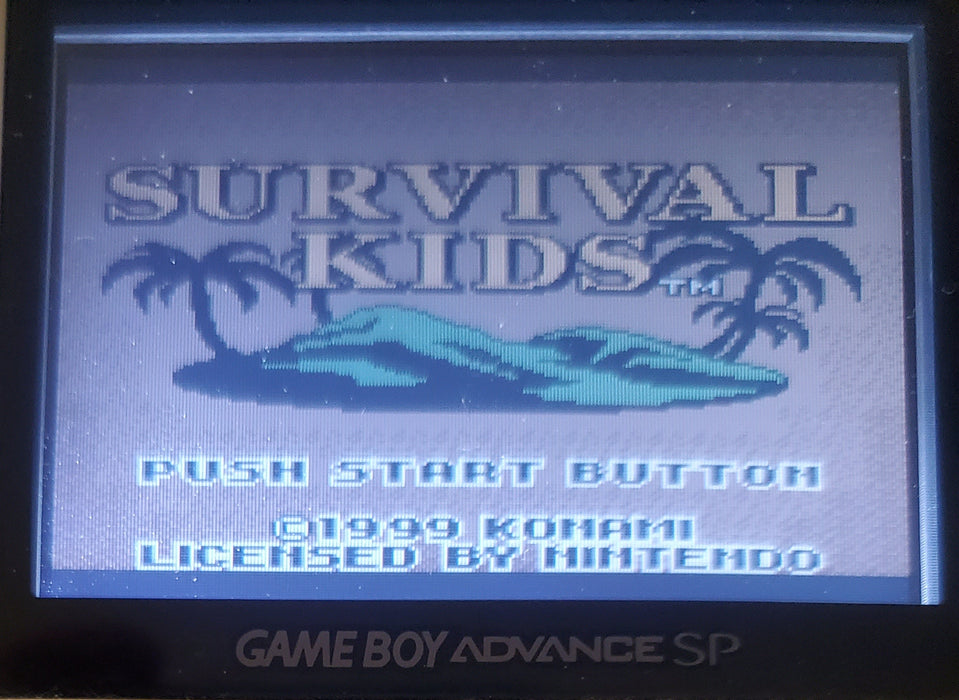 Survival Kids 1 GBC Video Game Catridge Gameboy Color 1999 - for just $15! 