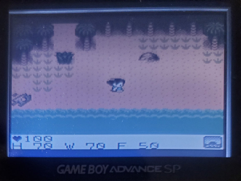 Survival Kids 1 GBC Video Game Catridge Gameboy Color 1999 - for just $15! 