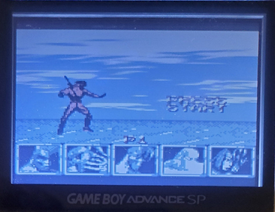 Killer Instinct Gameboy GB Video Game Catridge 1995 - for just $15! 