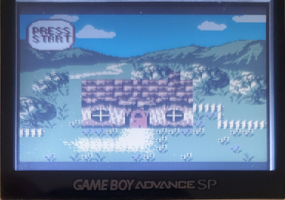 Conker's Pocket Tales Gameboy Color GBC Video Game Catridge 1999 - for just $15! 