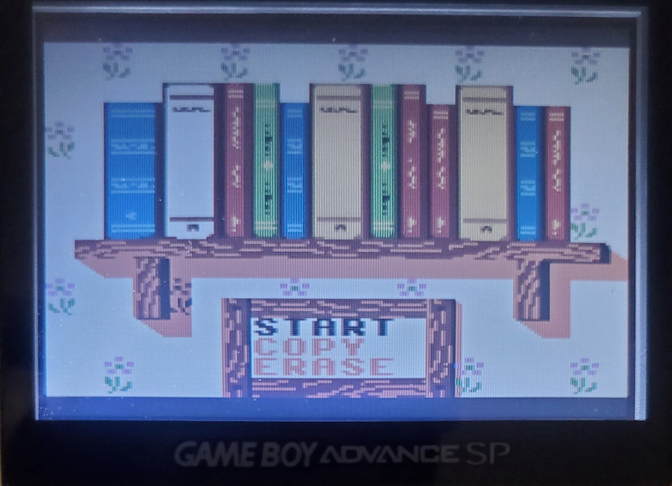 Conker's Pocket Tales Gameboy Color GBC Video Game Catridge 1999 - for just $15! 