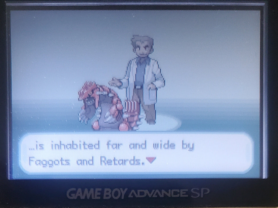 Pokemon Sako GBA ROM Hack Video Game Custom Gameboy Advance - for just $18.49! 