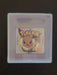 Pokemon God of Arena GBC Video Game Cartridge Gameboy Color ROM Hack - for just $15.99! 
