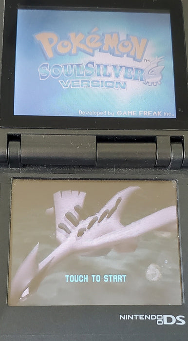 Pokemon Storm Silver NDS Nintendo DS Custom ROM Hack Video Game - for just $26.99! 