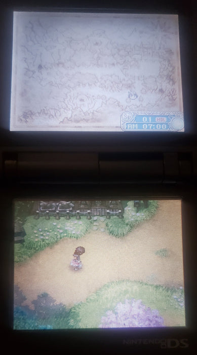 Rune Factory A Fantasy Harvest Moon NDS Video Game Nintendo DS 2006 - for just $22.99! 