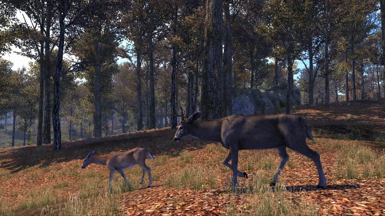 Cabela's Big Game Hunter 2008 – PlayStation 2 (PS2) - for just $3.99! 