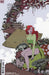 POISON IVY #4 (OF 6) CVR C ZOE THOROGOOD CARD STOCK VAR (09/07/2022) - for just $4.99! 