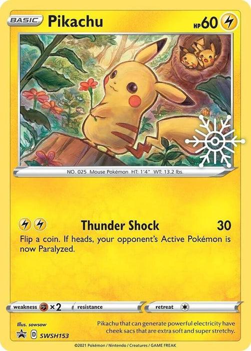 Pikachu (SWSH153) (Holiday Calendar) [Sword & Shield: Black Star Promos] - for just $18.80! 