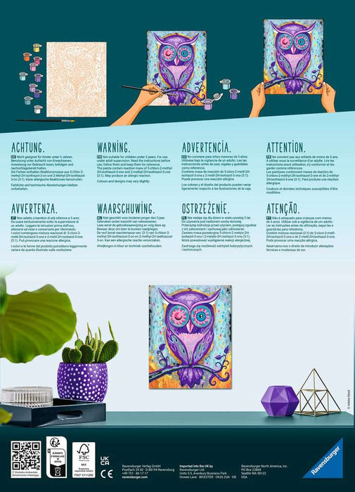CreArt: Dreaming Owl - for just $25! 