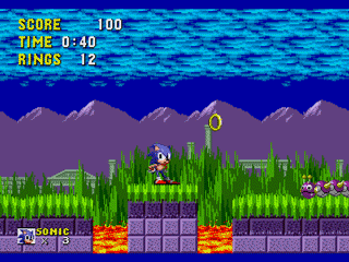 Sonic Flash Flood Sega Genesis Reproduction Video Game Cart - for just $19.99! 