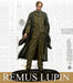Harry Potter Miniatures Adventure Game: Remus Lupin & Werewolf Form Pack - for just $30! 