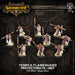 Warmachine: Protectorate of Menoth Temple Flameguard - for just $10.99! 