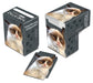 Ultra PRO: Deck Box - Full-View (Grumpy Cat) - Just $0! Shop now at Retro Gaming of Denver