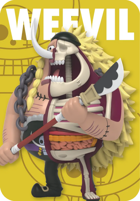 Freeny’s Hidden Dissectibles: One Piece (Warlords Edition) (1 Blind Box) - for just $15.99! 