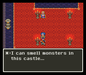 Dragon Quest VI (English Translated) – SNES Reproduction Cartridge - for just $29.99! 