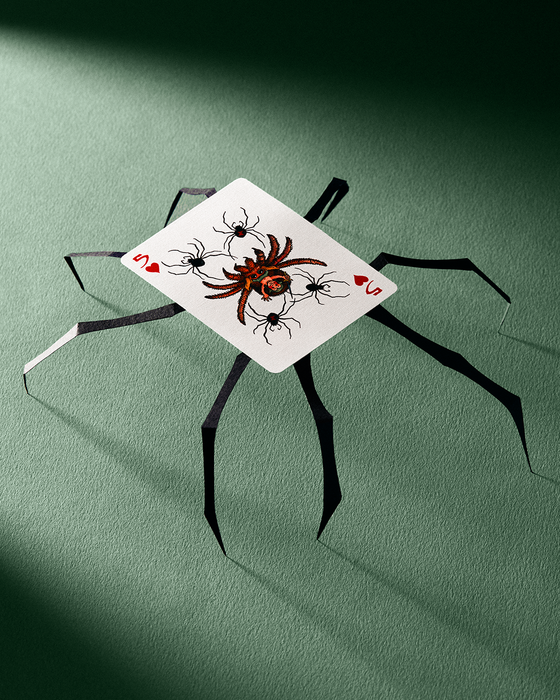 Fantasy Playing Cards - for just $24.99! 