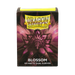 Dragon Shield: Standard 100ct Sleeves - Blossom (Dual Matte) - for just $14.99! 