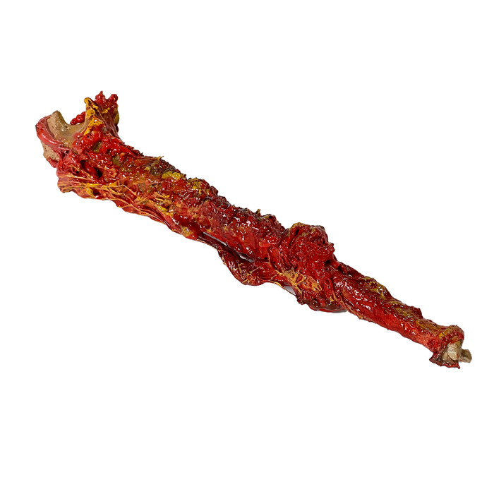 Realistic Ulna Bone Lightweight Rigid Foam - with Light Gore Effects - for just $35! 