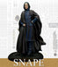 Harry Potter Miniatures Adventure Game: Hogwart's Professors Pack - for just $45! 