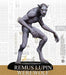 Harry Potter Miniatures Adventure Game: Remus Lupin & Werewolf Form Pack - for just $30! 