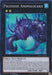 Paleozoic Anomalocaris [MP17-EN126] Super Rare - for just $0.20! 